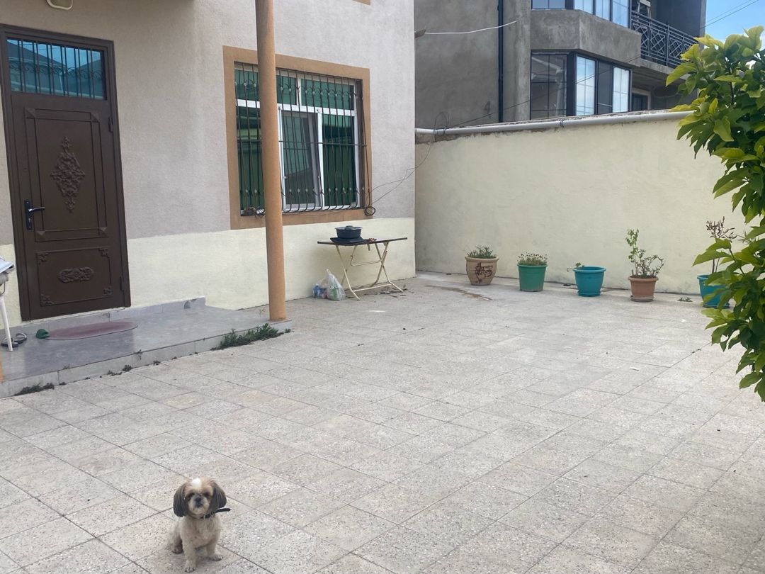 Həyət evi kirayə verilir, Zabrat qəs — Ev, villa, Bakı (5)