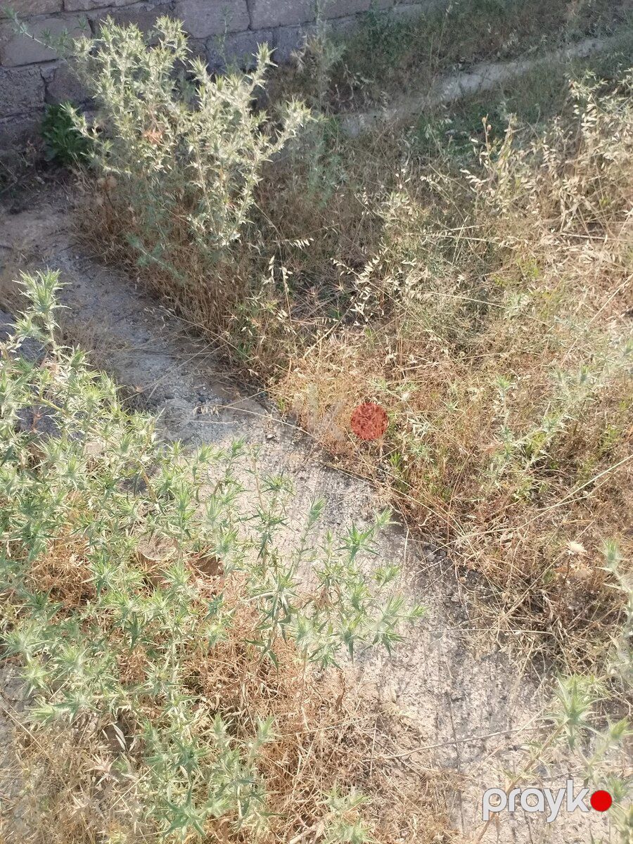 4 sot torpaq sahəsi, Fatmayı qəs — Torpaq, Bakı (5)