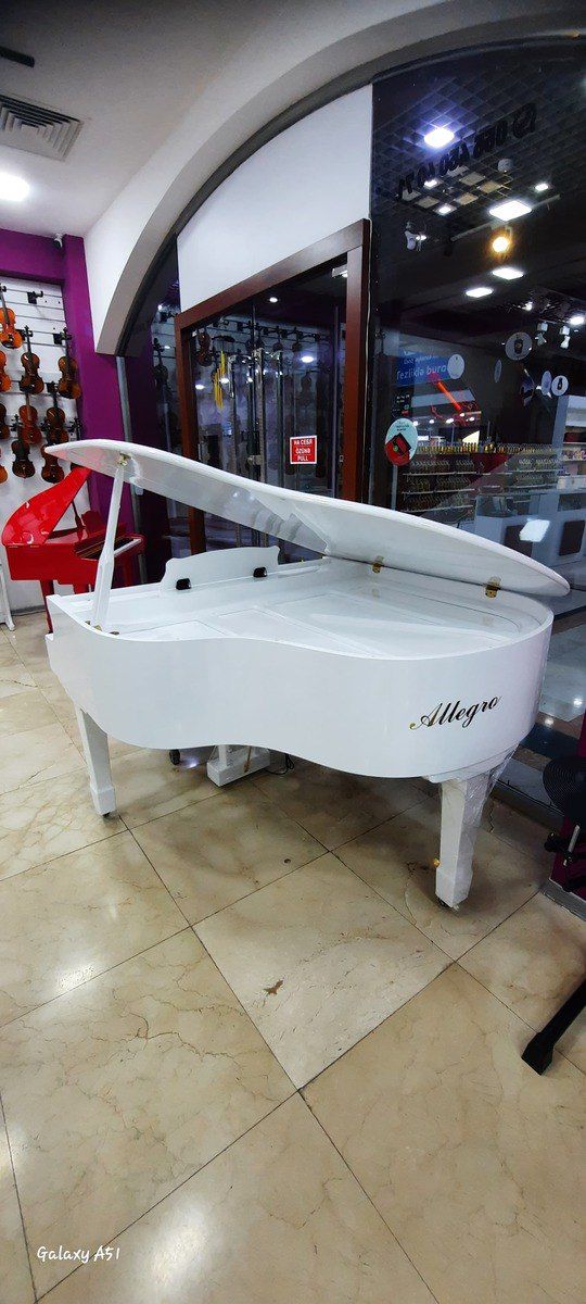Elektro royal — Musiqiə alətləri, Bakı (3)