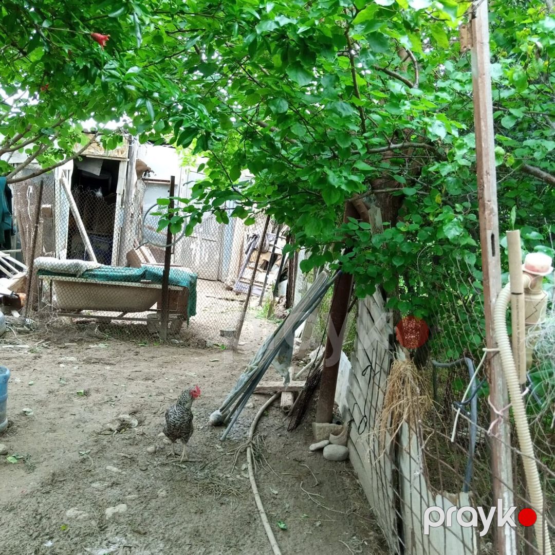 6 sot torpaq sahəsi, Sumqayıt ş. — Torpaq, Sumqayıt (4)
