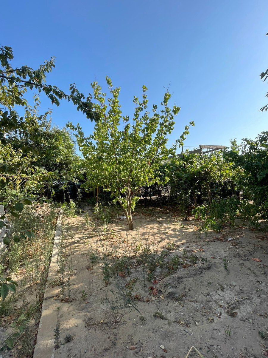 11 sot torpaq sahəsi, Şüvəlan qəs. — Torpaq, Bakı (7)