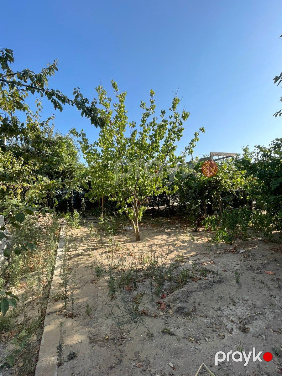 11 sot torpaq sahəsi, Şüvəlan qəs — Torpaq, Bakı (7)