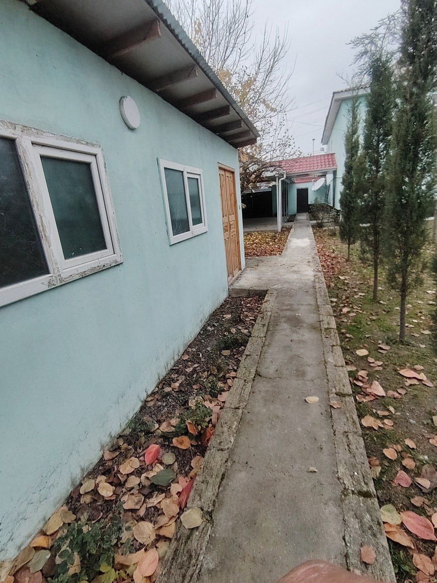 Həyət evi, Nəsimi küç. 179 — Daşınmaz əmlak, Qəbələ (6)