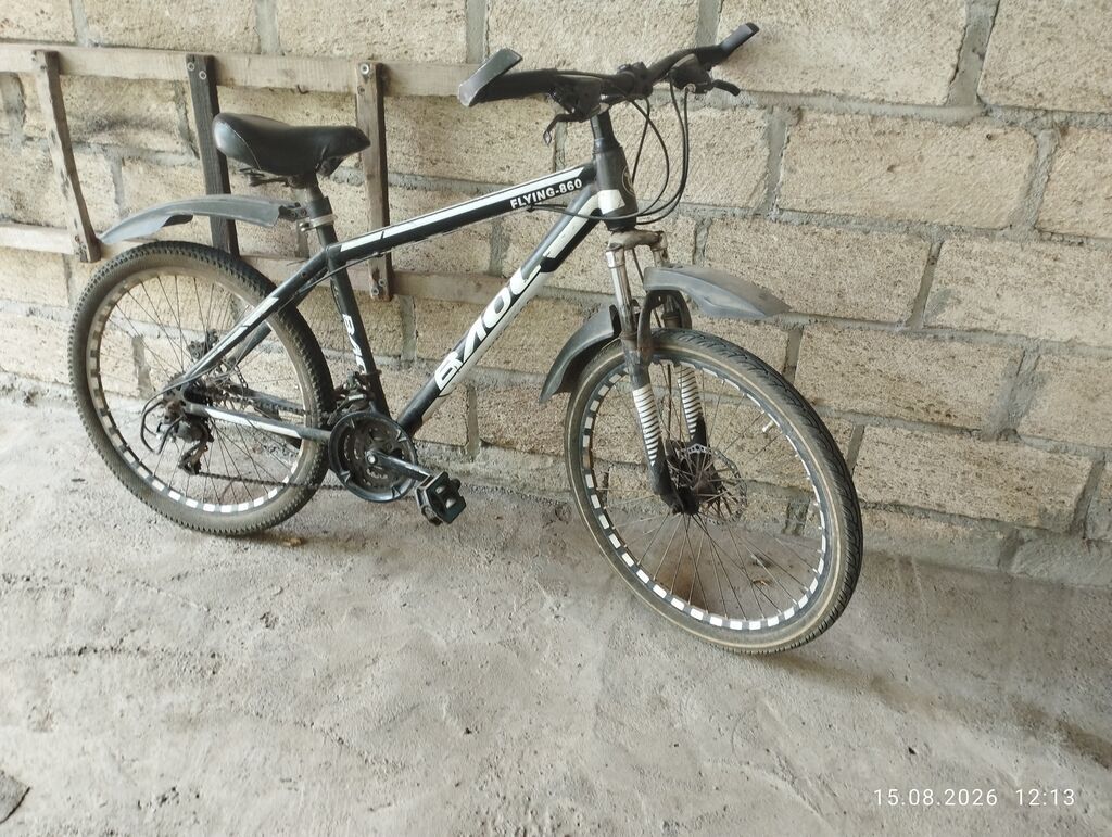26 ölçülü dağ velosipedi — FLYING-860