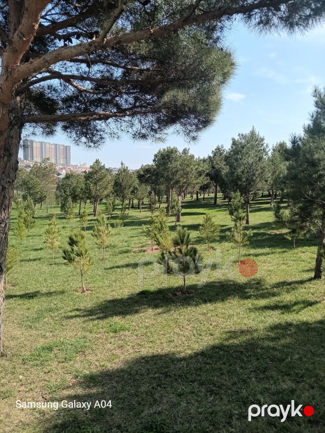 Satılır 2 otaqlı yeni tikili 55.9 m² — Mənzil, Bakı (3)