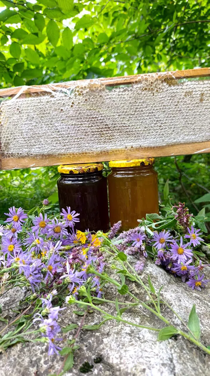 Təbii dağ çiçəyi balı və pətək bal — Handmade