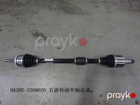 BYD Destroyer 05 Sağ asqı qolu