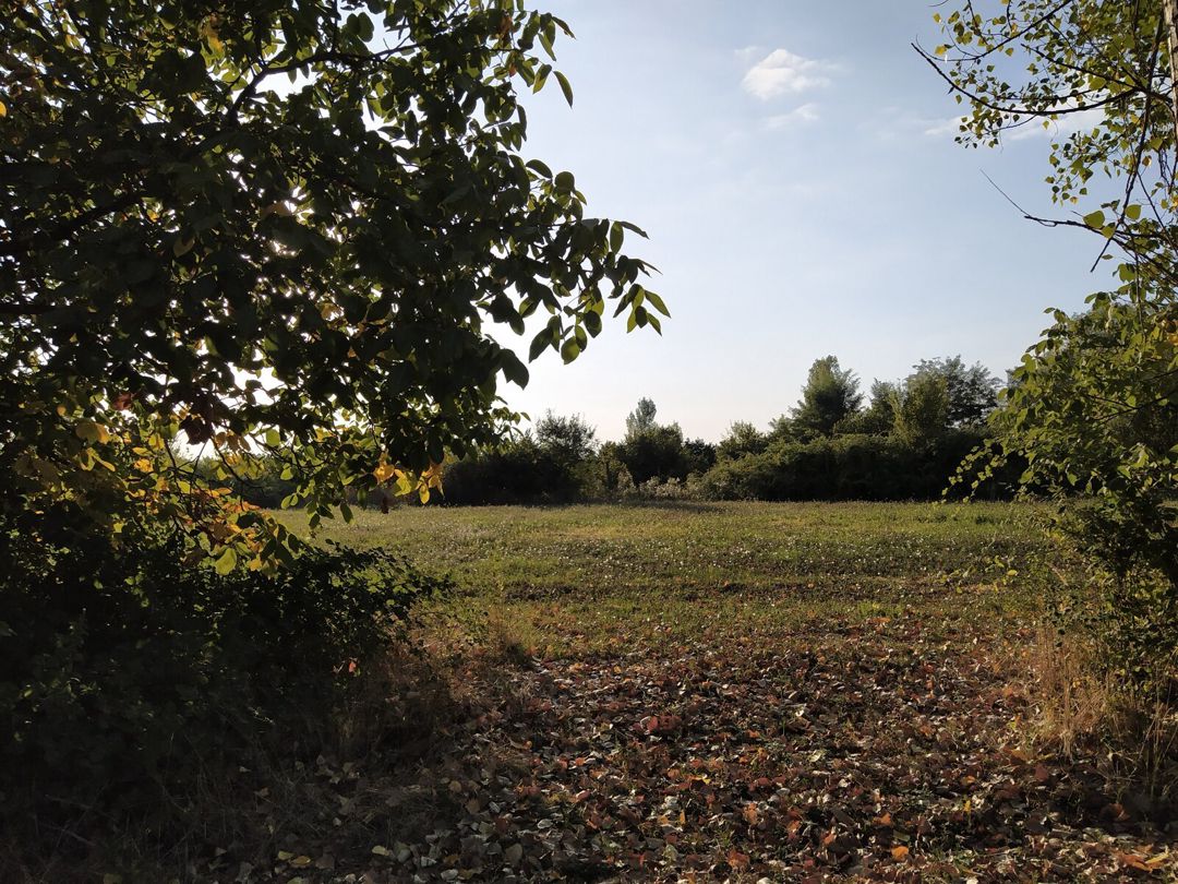 Satılır torpaq 28 sot — Torpaq, Qəbələ (10)