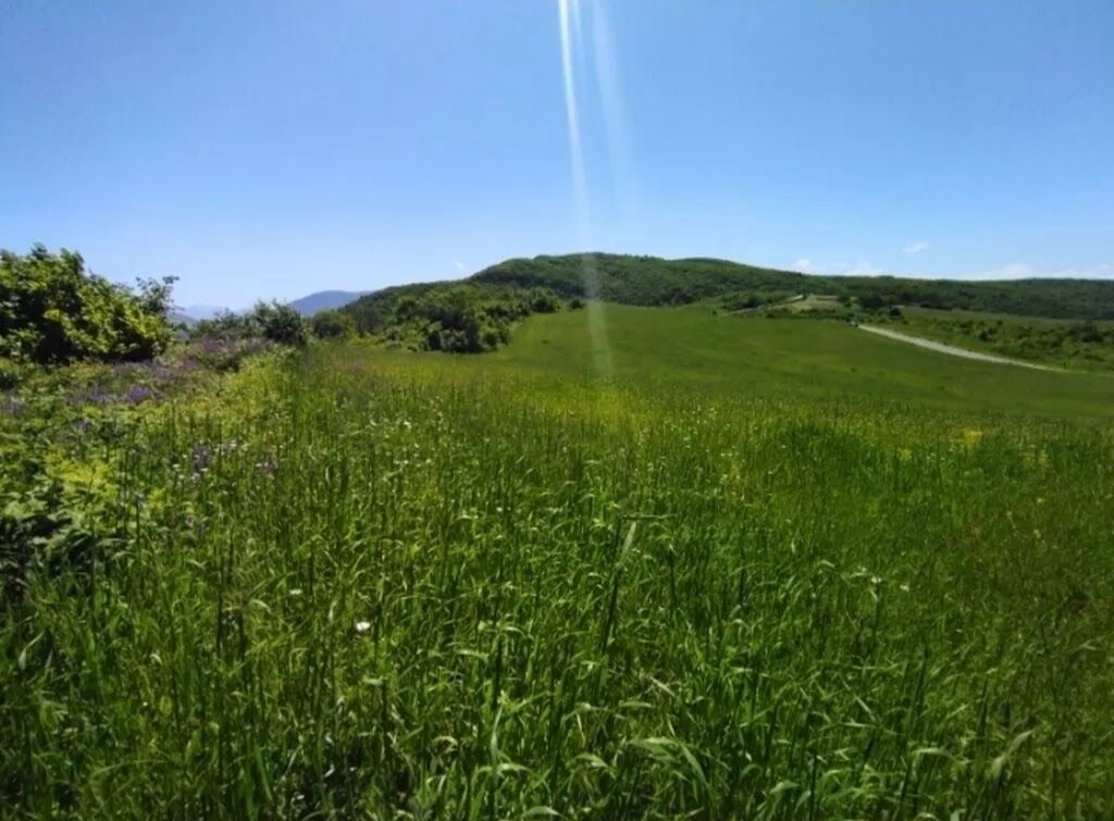 524 sot, Biznes üçün, Barter mümkündür, Kupça (Çıxarış) — Torpaq, Quba (10)