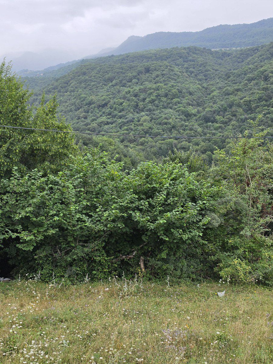 Bağ evi, Quba r. — Daşınmaz əmlak, Quba (12)