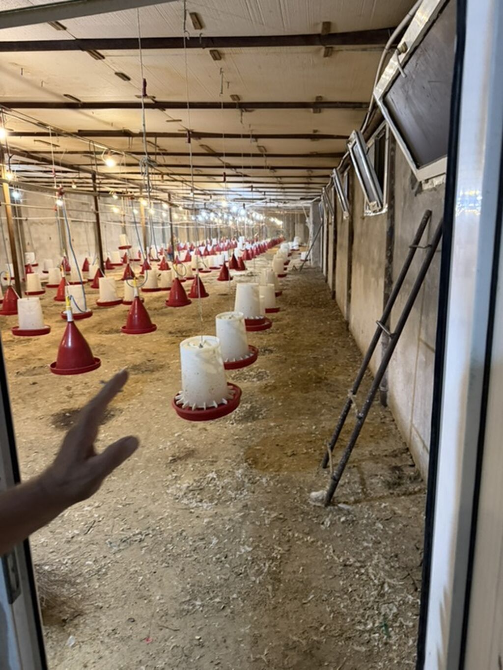 Broyler/qulluqçu toyuq saxlanması üçün tam təchizatlı quşçuluq — Kənd təsərrüfatı avadanlığı, Digah