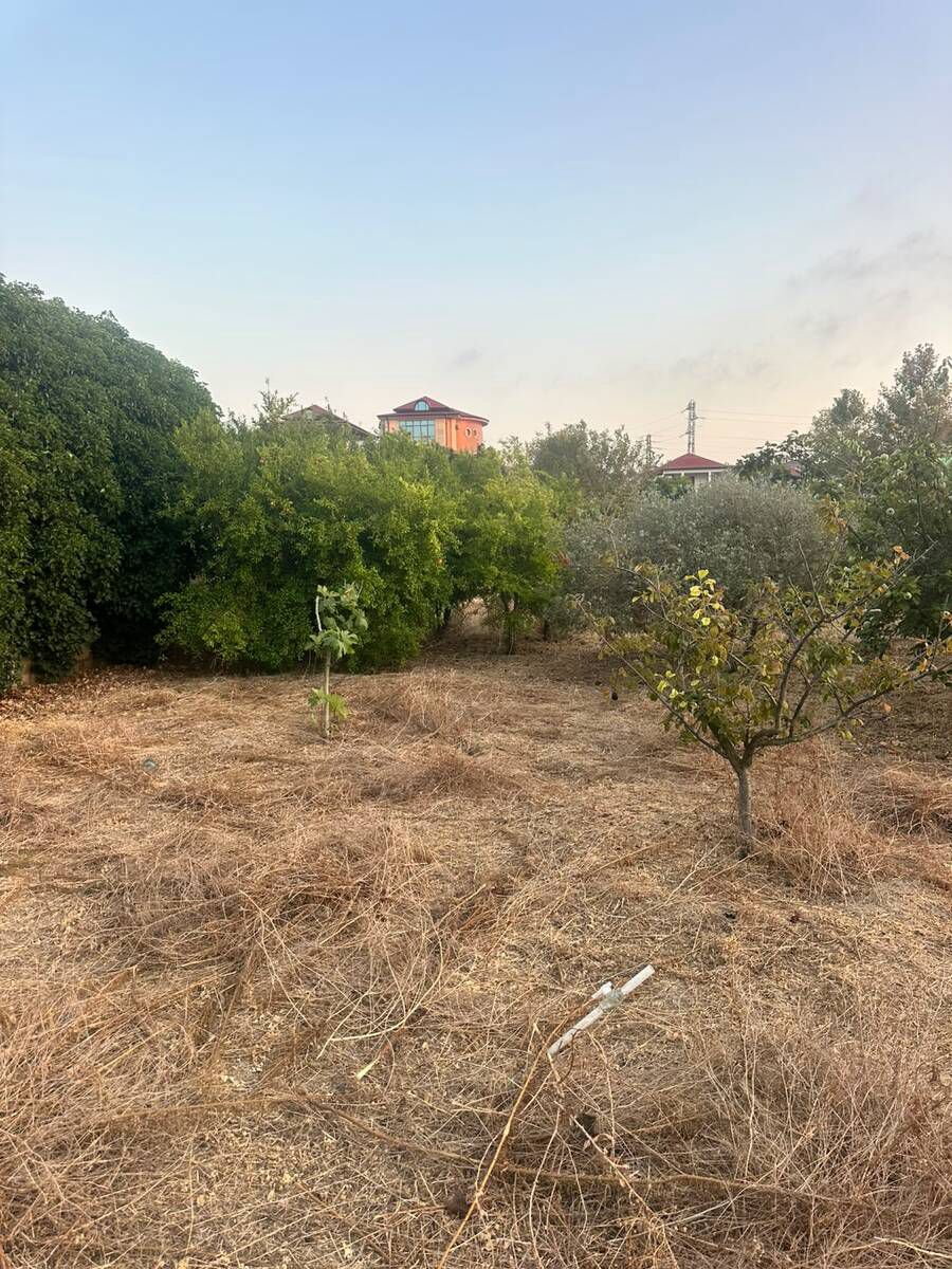 Satılır torpaq 4 sot — Torpaq, Bakı (6)