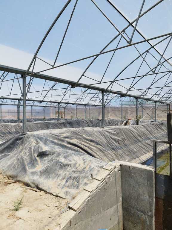 İcarəyə verilir obyekt 10000 m² — Əmlak, Bakı (3)