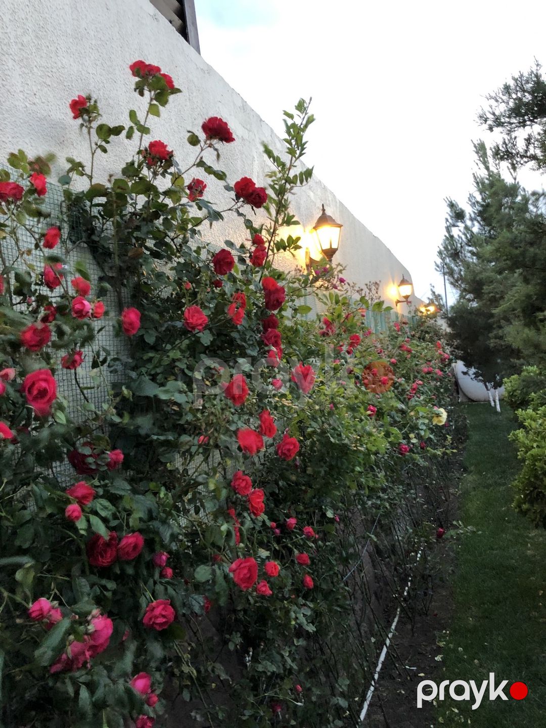 Satılır 5 otaqlı həyət evi/bağ evi 172 m² — Ev, villa, Bakı (6)