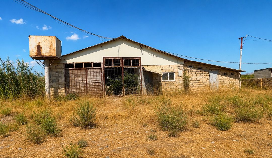 Satılır obyekt 7000 m² — Əmlak, Salyan (5)