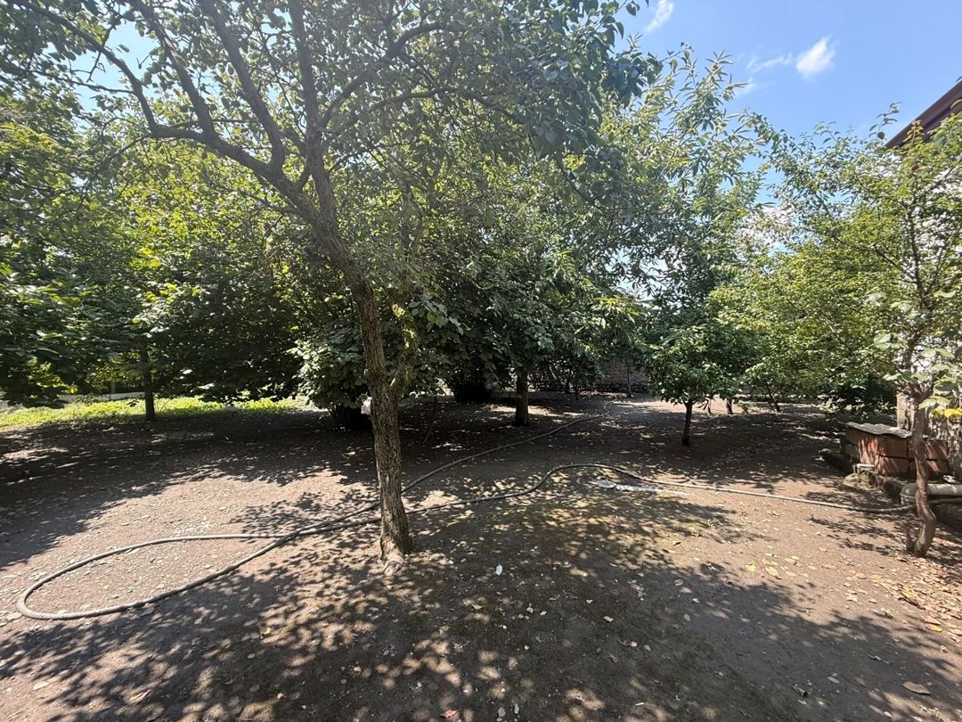Satılır 4 otaqlı həyət evi/bağ evi 107.1 m² — Ev, villa, Zaqatala (7)
