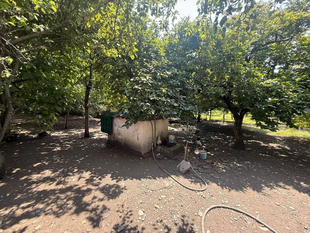 Satılır 4 otaqlı həyət evi/bağ evi 107.1 m² — Ev, villa, Zaqatala (9)