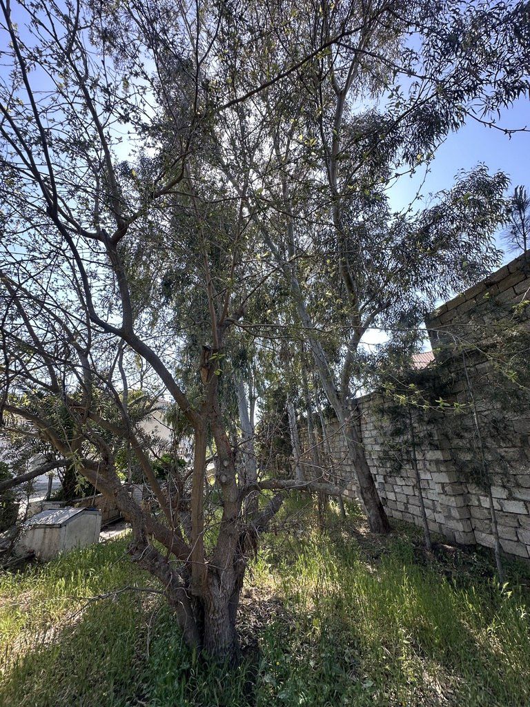 Satılır torpaq 11 sot — Torpaq, Bakı (9)