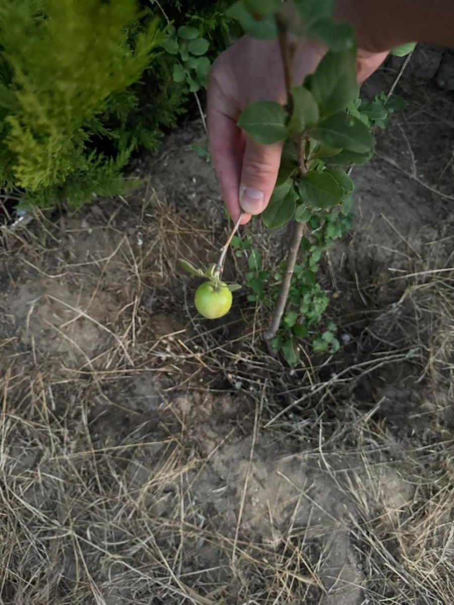 Satılır torpaq 12 sot — Torpaq, Bakı (10)
