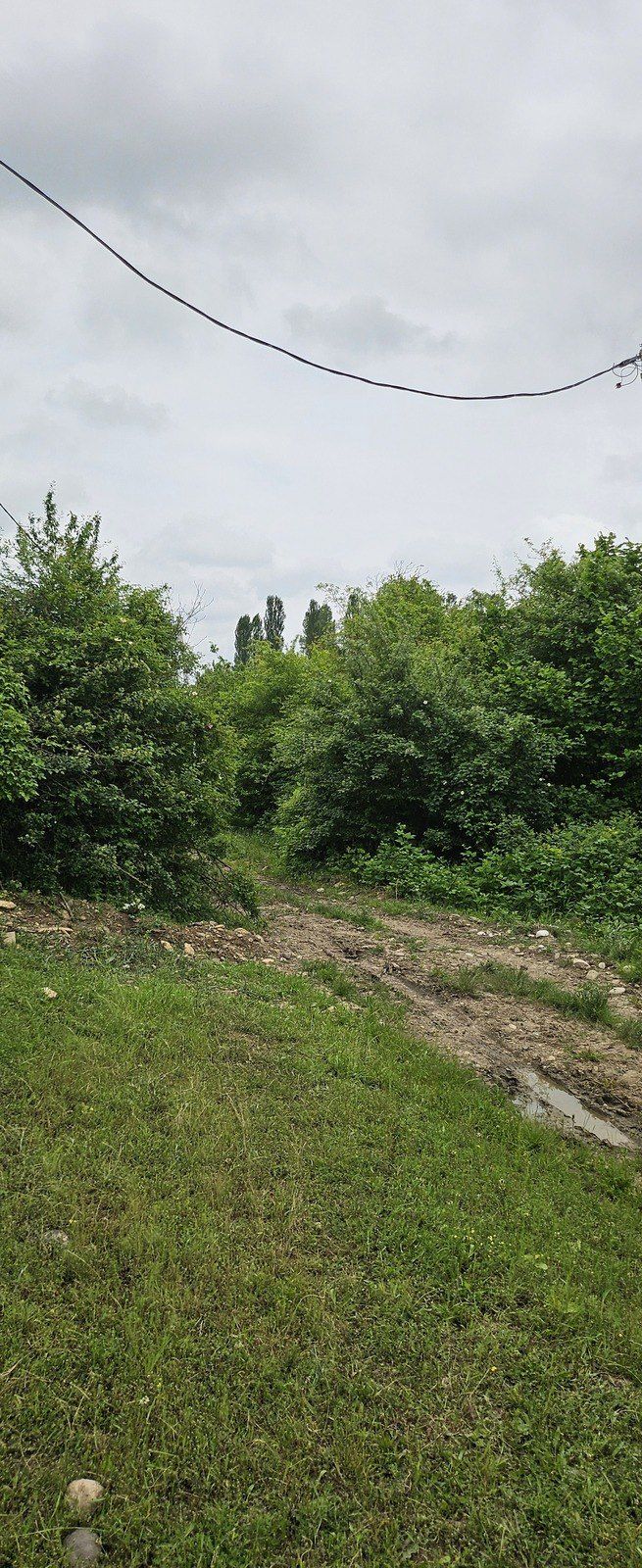 Satılır torpaq 12 sot — Torpaq, Qusar (6)