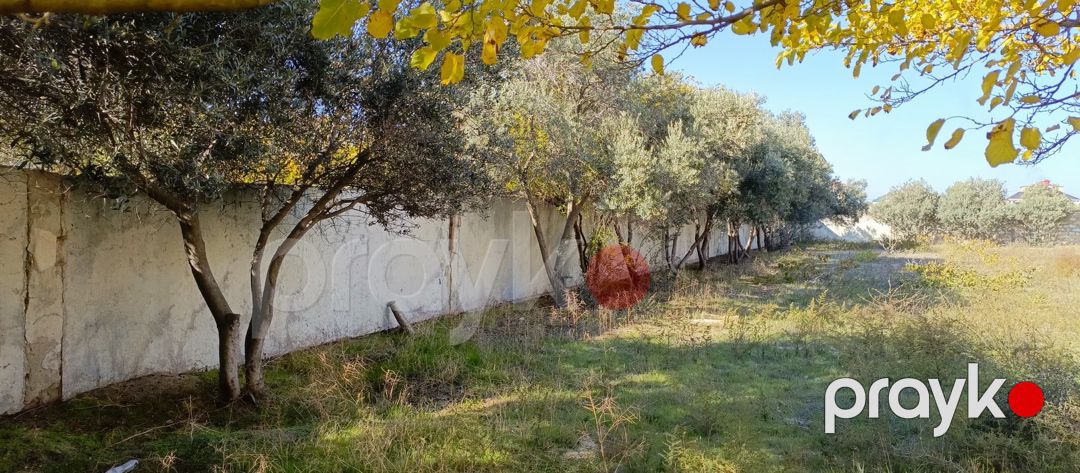 Satılır torpaq 9 sot — Torpaq, Bakı (5)