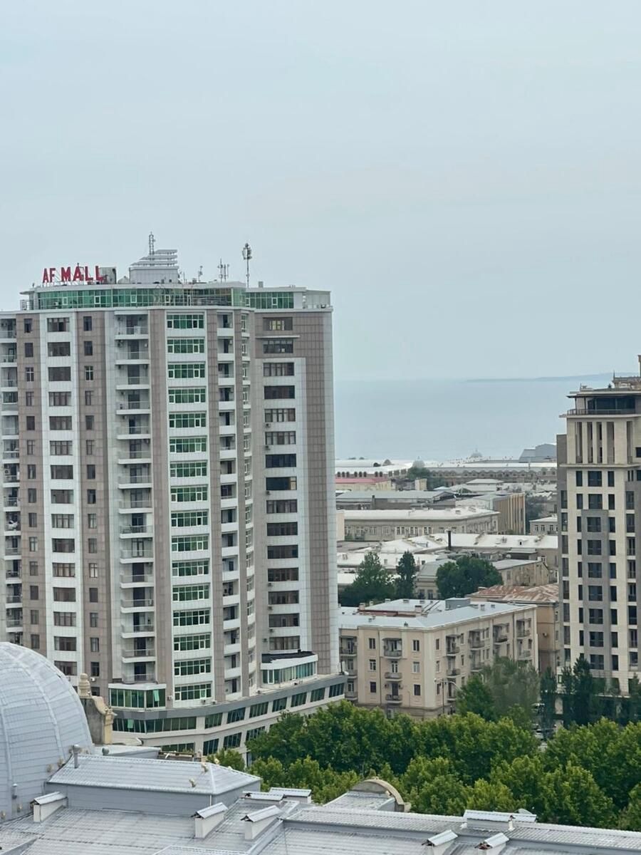 Satılır 4 otaqlı yeni tikili 229 m² — Mənzil, Bakı (4)