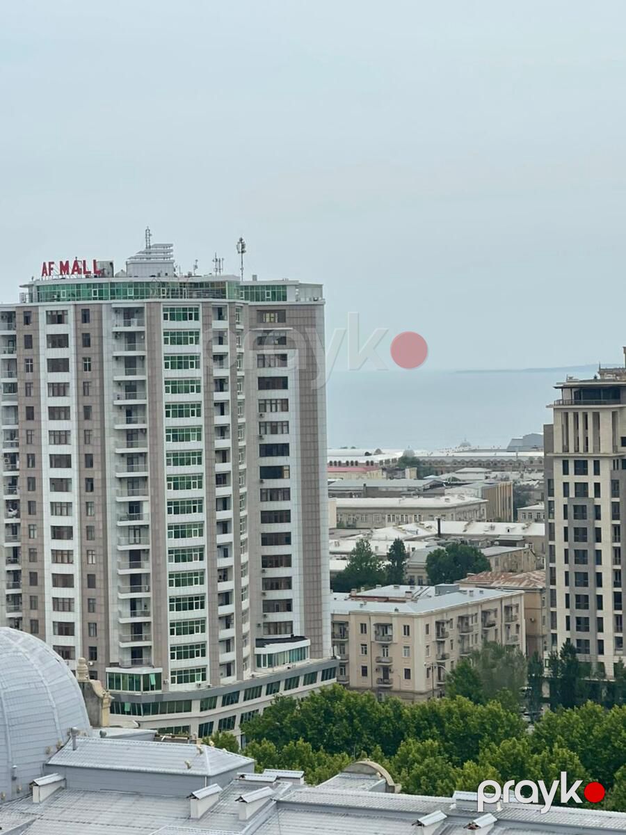 Satılır 4 otaqlı yeni tikili 229 m² — Mənzil, Bakı (4)