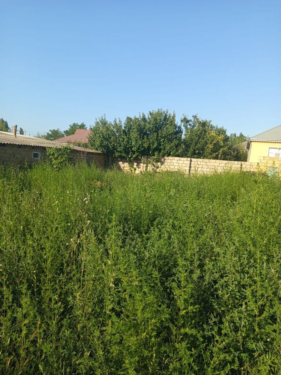 Bağ evi, Xudat r. — Daşınmaz əmlak, Xudat (2)