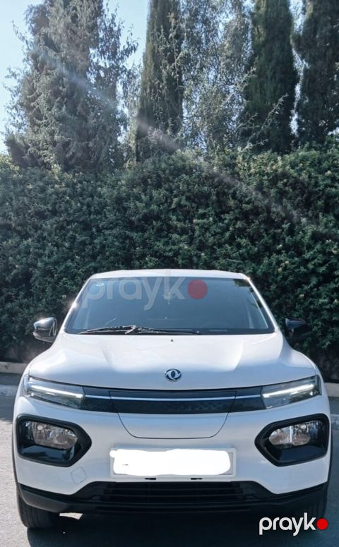 DongFeng Nammi Box, 2024 il
