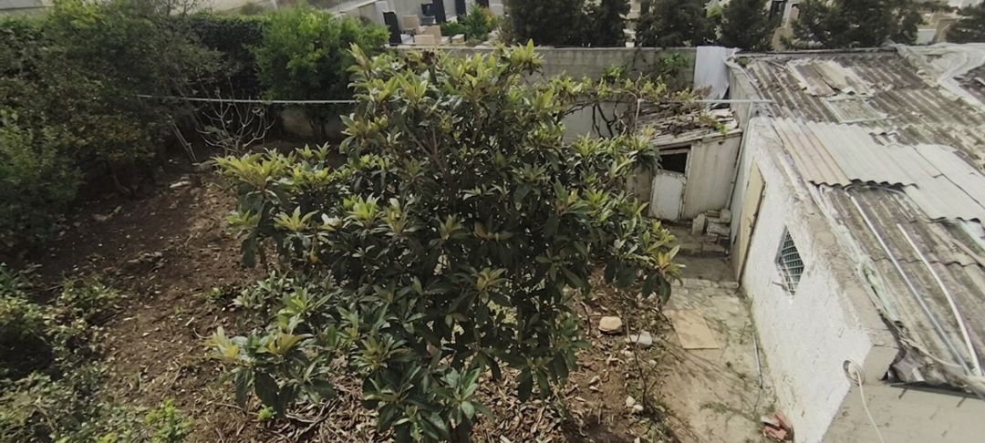 3 sot torpaq sahəsi, Bülbülə qəs. — Torpaq, Bakı