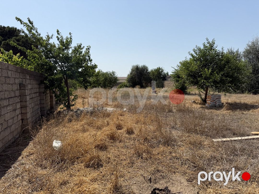 Satılır torpaq 12 sot — Torpaq, Bakı (3)