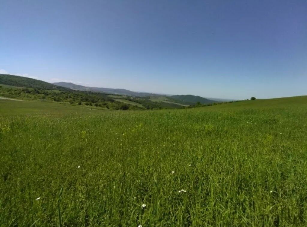 524 sot, Biznes üçün, Barter mümkündür, Kupça (Çıxarış) — Torpaq, Quba (5)