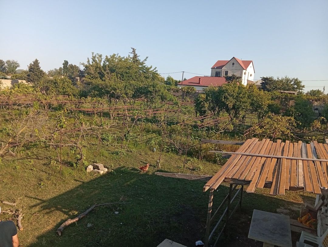 12 sot torpaq sahəsi, Pirşağı qəs. — Torpaq, Bakı (4)