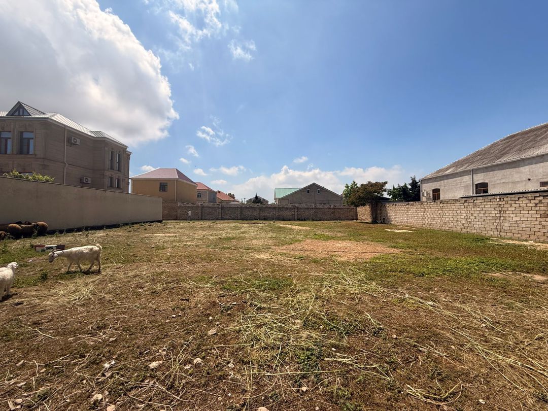 Satılır torpaq 14 sot — Torpaq, Bakı (3)