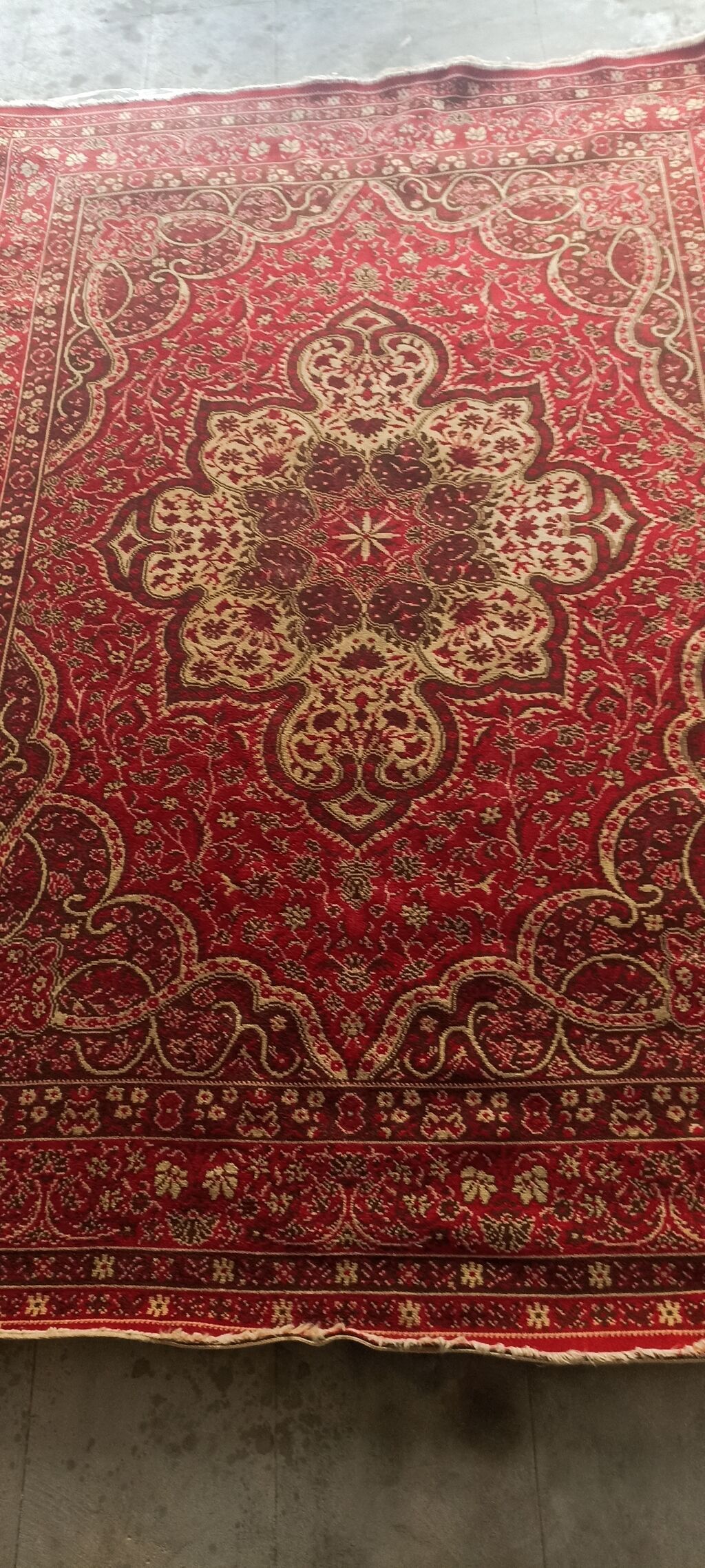 Xalça Dekorativ, Azərbaycan — Mallar, Bakı (2)