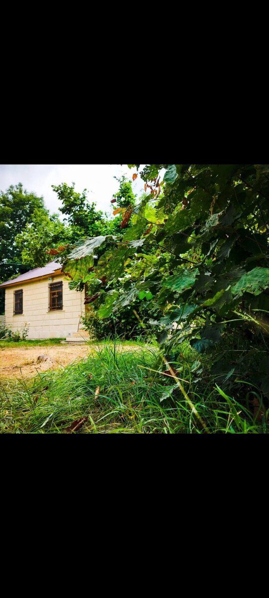 Bağ evi kirayə verilir, Xal-xal kəndi — Daşınmaz əmlak, Oğuz (4)