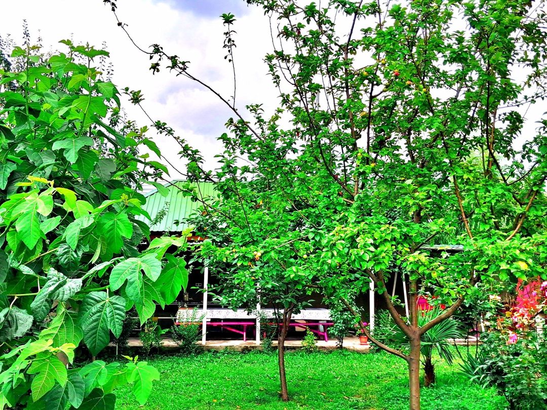 İcarəyə verilir 5 otaqlı həyət evi/bağ evi 200 m² — Ev, villa, Qəbələ (6)