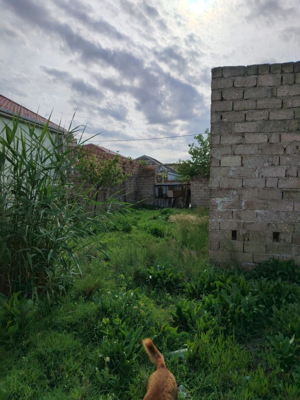 Satılır: yarımçıq tikili və həyət sahəsi - Material: daş hörgü - — Daşınmaz əmlak, Masazır (3)
