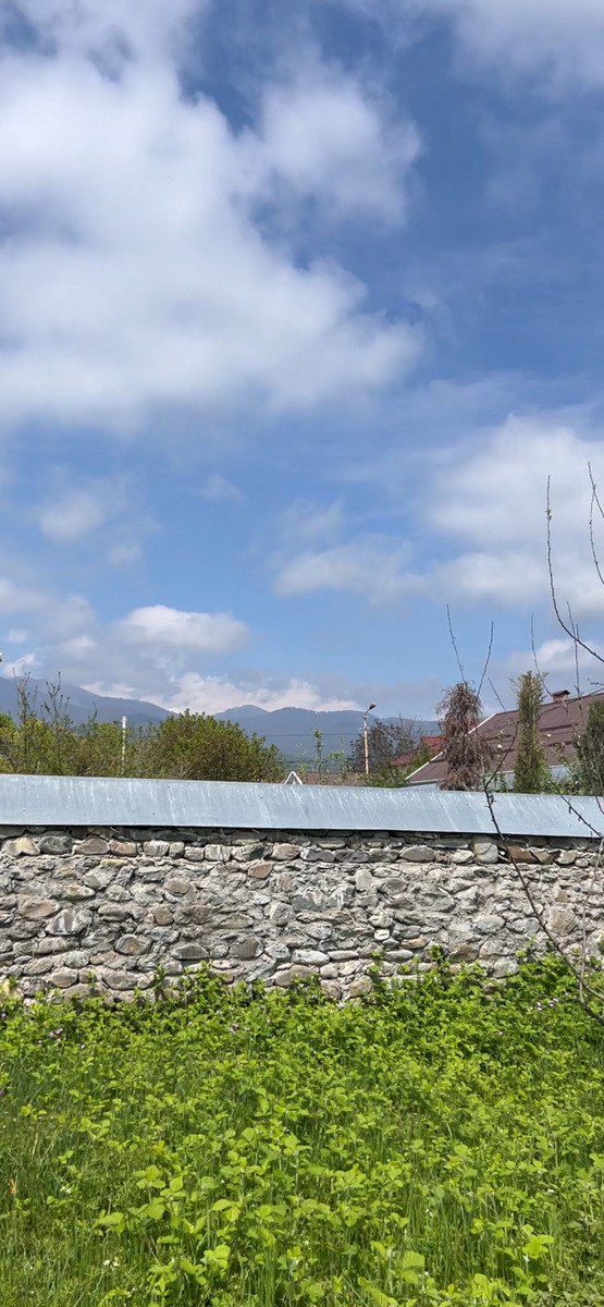 Satılır torpaq 12 sot — Torpaq, Qəbələ (3)