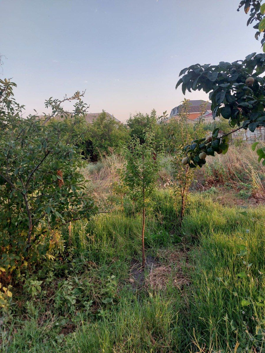 10 sot torpaq sahəsi, Sumqayıt ş. — Torpaq, Sumqayıt