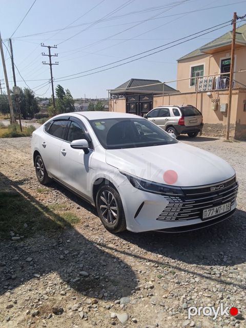 BYD Destroyer 05: 1.5 l | 2025 il 39000 km Sedan