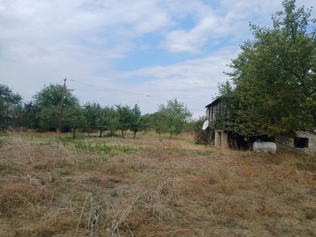Kənd təsərrüfatı — Torpaq, Qəbələ (4)