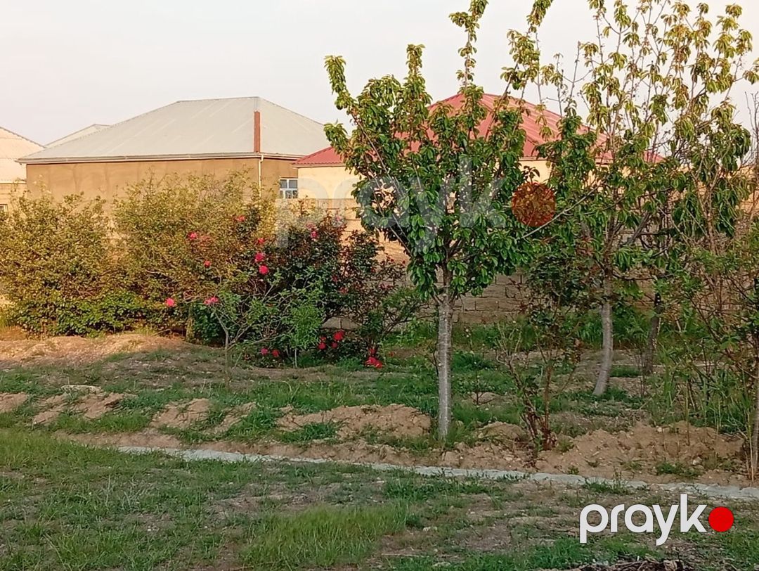 Satılır torpaq 6 sot — Torpaq, Bakı (5)
