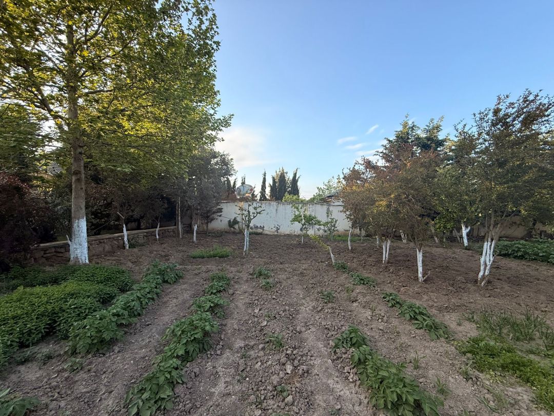 Satılır torpaq 28 sot — Torpaq, Bakı (4)