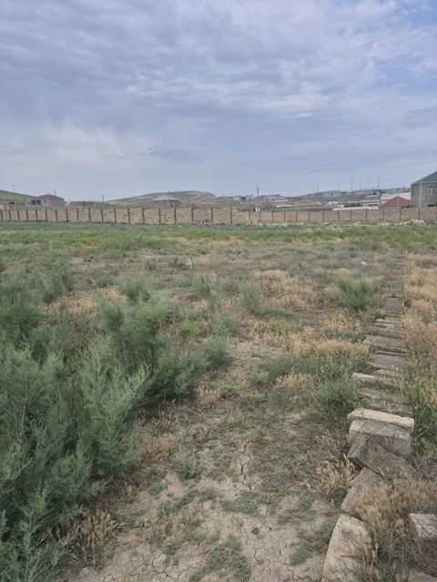 8 sot, Tikinti, Mülkiyyətçi, Kupça (Çıxarış)