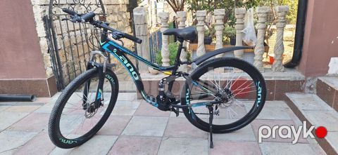 Velosiped 29luq