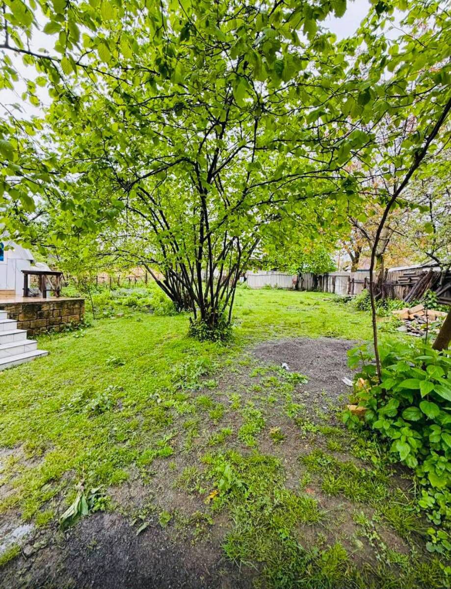 Villa kirayə verilir, Qəbələ ş. — Daşınmaz əmlak, Qəbələ (8)