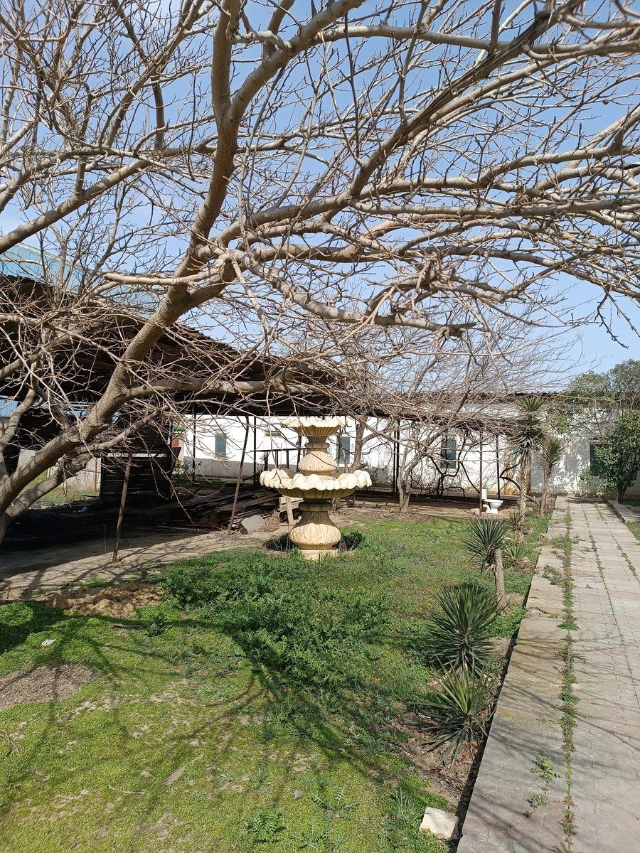İcarəyə verilir obyekt 1500 m² — Əmlak, Bakı (11)