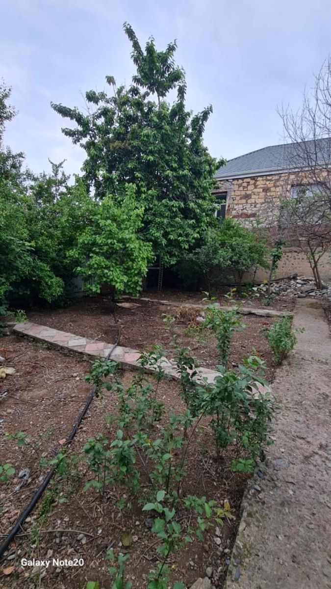 Həyət evi, Gəncə ş. — Daşınmaz əmlak, Gəncə (9)
