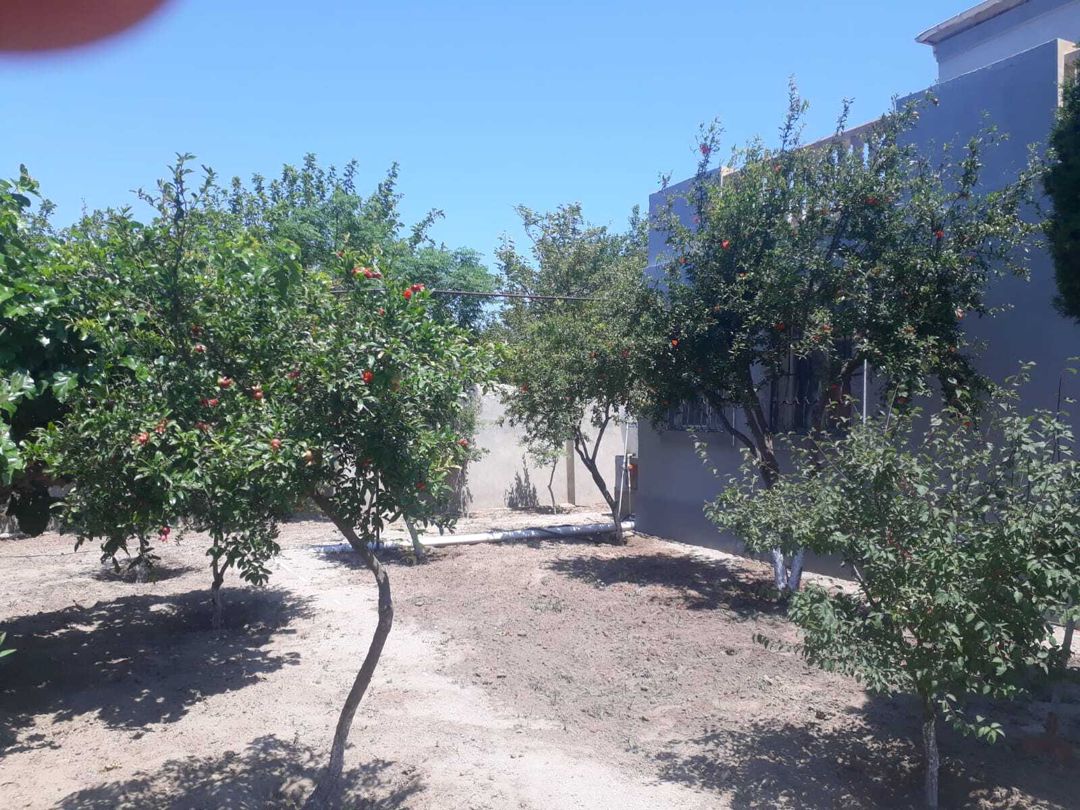 Bağ evi kirayə verilir, Novxanı bağları. — Ev, villa, Bakı (4)